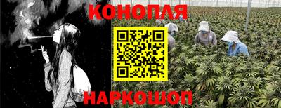 ешки Краснодар