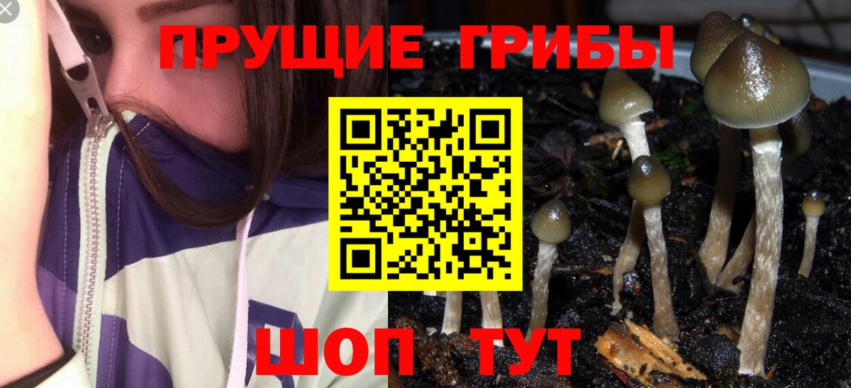 хочу наркоту  Галлюциногенные грибы MAGIC MUSHROOMS  Вход с VPN  Екатеринбург 