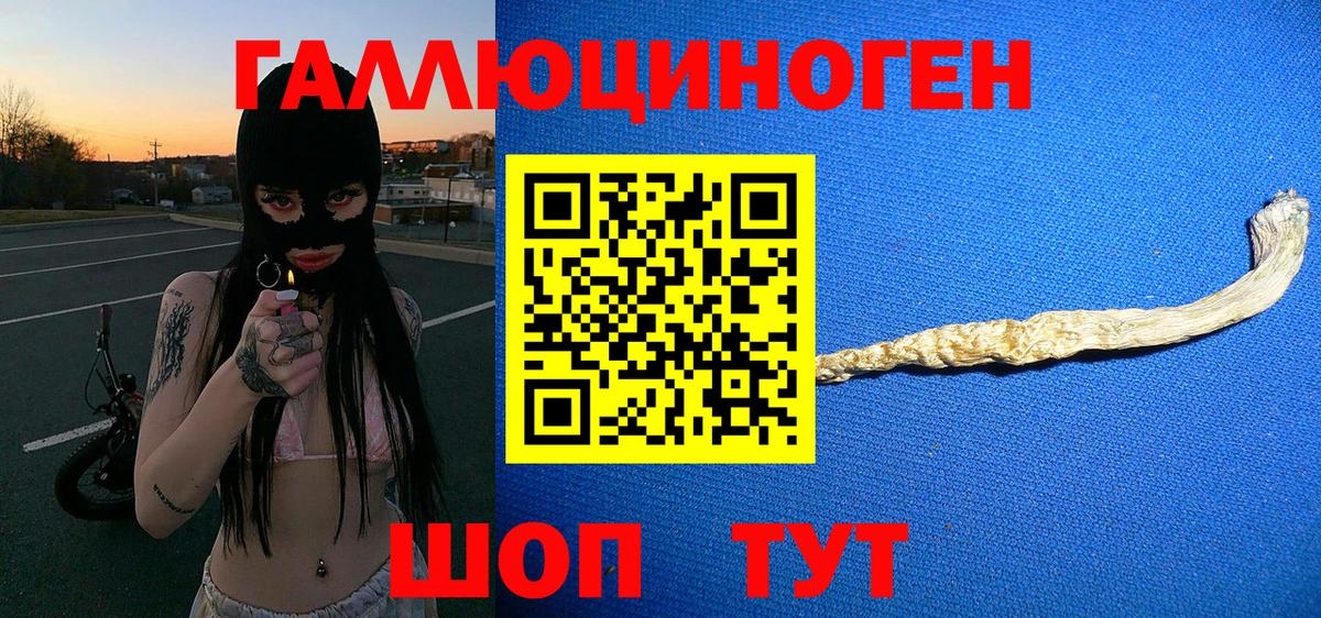 Галлюциногенные грибы Cubensis Екатеринбург